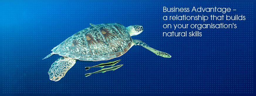 Business Advantage - a relationship that builds on your organisation's natural skills