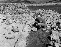 Geoff Lund, dry stone waller