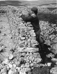 Geoff Lund, dry stone waller